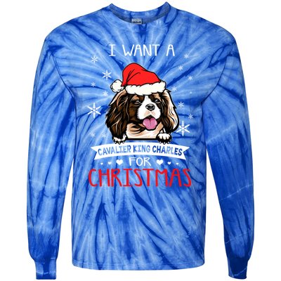 I Want For Christmas Is A Cavalier King Charles Spaniel Gift Tie-Dye Long Sleeve Shirt