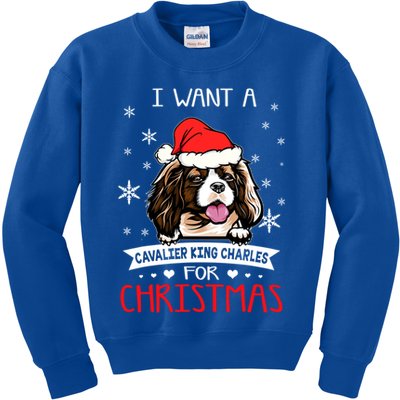 I Want For Christmas Is A Cavalier King Charles Spaniel Gift Kids Sweatshirt