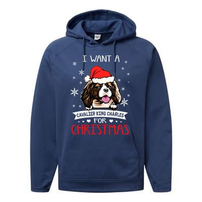 I Want For Christmas Is A Cavalier King Charles Spaniel Gift Performance Fleece Hoodie