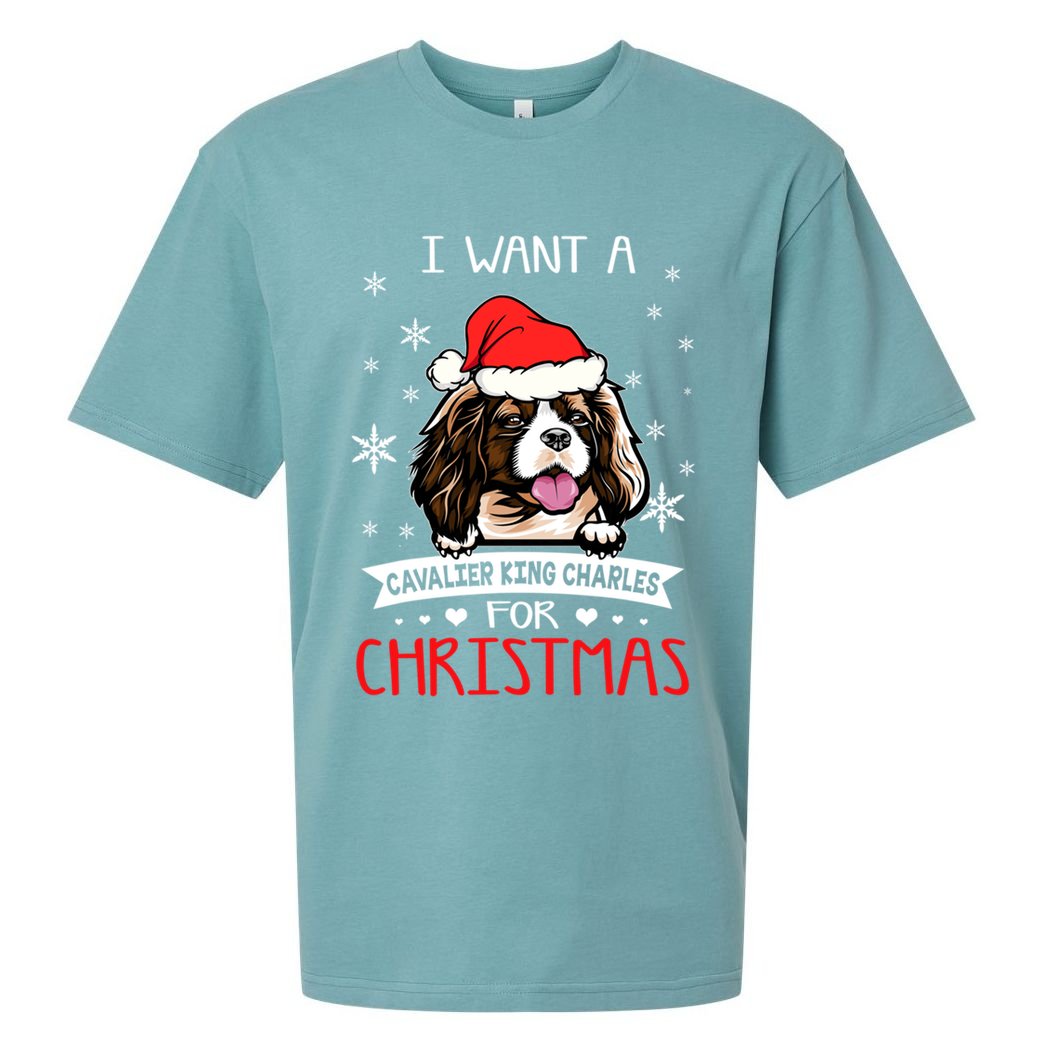 I Want For Christmas Is A Cavalier King Charles Spaniel Gift Sueded Cloud Jersey T-Shirt