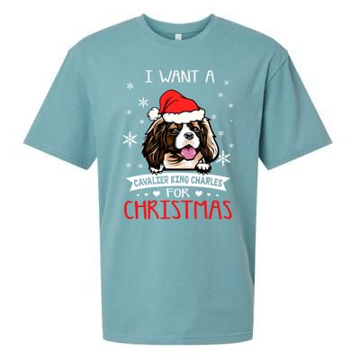 I Want For Christmas Is A Cavalier King Charles Spaniel Gift Sueded Cloud Jersey T-Shirt