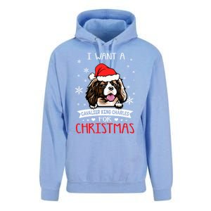 I Want For Christmas Is A Cavalier King Charles Spaniel Gift Unisex Surf Hoodie