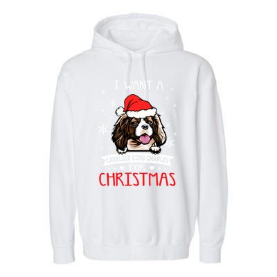 I Want For Christmas Is A Cavalier King Charles Spaniel Gift Garment-Dyed Fleece Hoodie