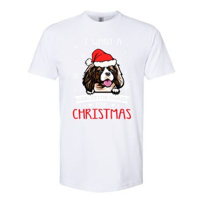 I Want For Christmas Is A Cavalier King Charles Spaniel Gift Softstyle CVC T-Shirt