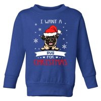 I Want For Christmas Is A Pug Dog Santa Hat Meaningful Gift Toddler Sweatshirt