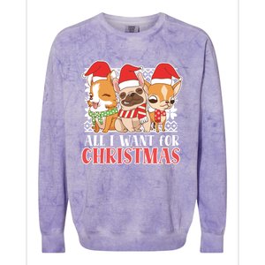 I Want For Christmas Corgi Bulldog Chihuahua Gift Colorblast Crewneck Sweatshirt