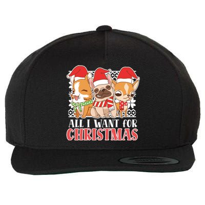 I Want For Christmas Corgi Bulldog Chihuahua Gift Wool Snapback Cap