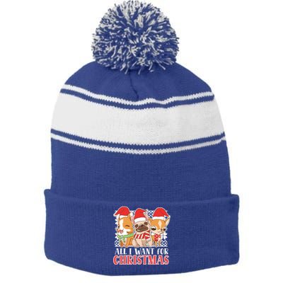 I Want For Christmas Corgi Bulldog Chihuahua Gift Stripe Pom Pom Beanie