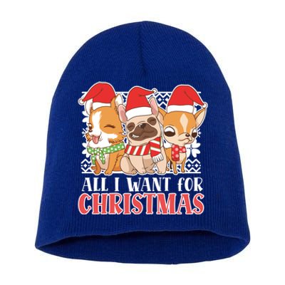 I Want For Christmas Corgi Bulldog Chihuahua Gift Short Acrylic Beanie