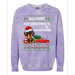 I Want For Christmas Is Dachshund Ugly Christmas Sweater Pet Gift Colorblast Crewneck Sweatshirt