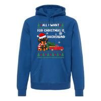 I Want For Christmas Is Dachshund Ugly Christmas Sweater Pet Gift Premium Hoodie