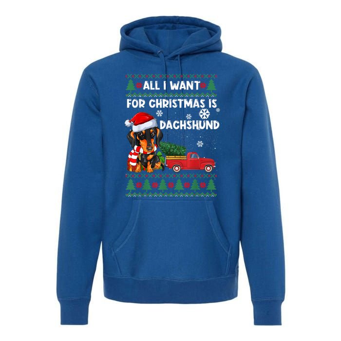 I Want For Christmas Is Dachshund Ugly Christmas Sweater Pet Gift Premium Hoodie