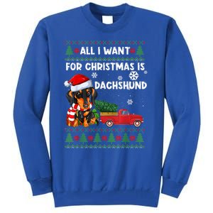 I Want For Christmas Is Dachshund Ugly Christmas Sweater Pet Gift Tall Sweatshirt