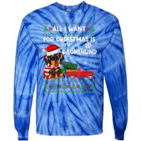 I Want For Christmas Is Dachshund Ugly Christmas Sweater Pet Gift Tie-Dye Long Sleeve Shirt