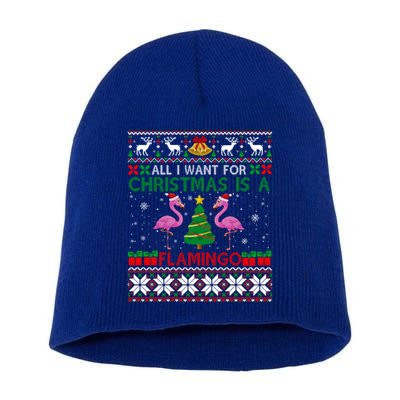 I Want For Christmas Is A Flamingo Merry Xmas Ugly Sweater Gift Short Acrylic Beanie