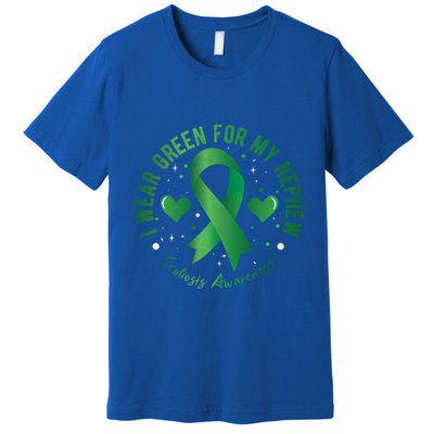 I Wear Green For My Nephew Scoliosis Awareness Gift Premium T-Shirt