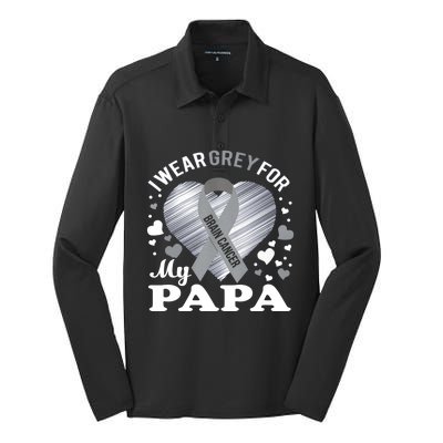 I Wear Grey For My Papa Cute Gift Brain Cancer Awareness Cool Gift Silk Touch Performance Long Sleeve Polo