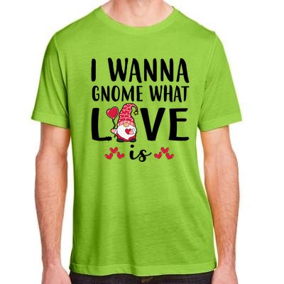 I Wanna Gnome What Love Is Valentine Day Adult ChromaSoft Performance T-Shirt