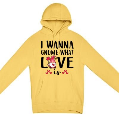 I Wanna Gnome What Love Is Valentine Day Premium Pullover Hoodie