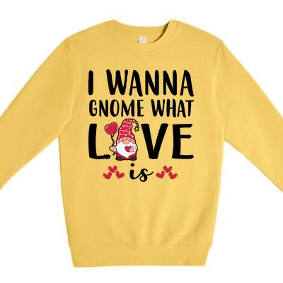 I Wanna Gnome What Love Is Valentine Day Premium Crewneck Sweatshirt