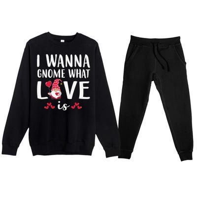 I Wanna Gnome What Love Is Valentine Day Premium Crewneck Sweatsuit Set