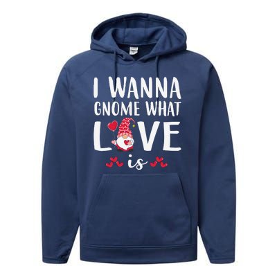 I Wanna Gnome What Love Is Valentine Day Performance Fleece Hoodie