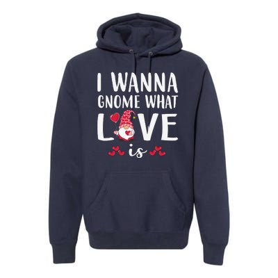 I Wanna Gnome What Love Is Valentine Day Premium Hoodie