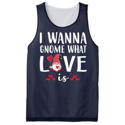 I Wanna Gnome What Love Is Valentine Day Mesh Reversible Basketball Jersey Tank