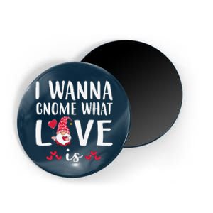 I Wanna Gnome What Love Is Valentine Day Magnet