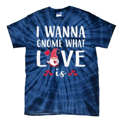 I Wanna Gnome What Love Is Valentine Day Tie-Dye T-Shirt