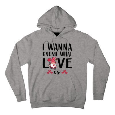 I Wanna Gnome What Love Is Valentine Day Hoodie