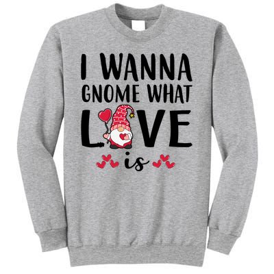 I Wanna Gnome What Love Is Valentine Day Sweatshirt