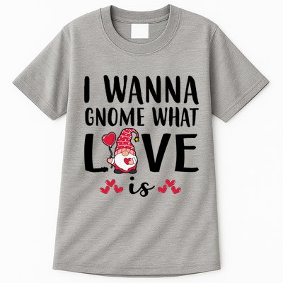 I Wanna Gnome What Love Is Valentine Day Tall T-Shirt