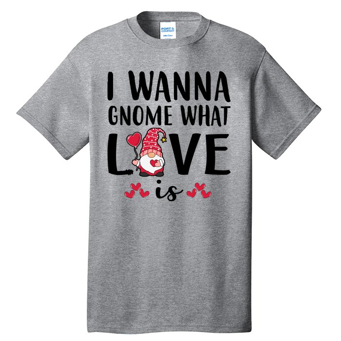 I Wanna Gnome What Love Is Valentine Day Tall T-Shirt