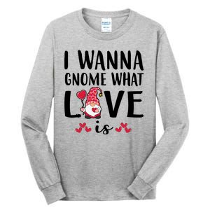 I Wanna Gnome What Love Is Valentine Day Tall Long Sleeve T-Shirt