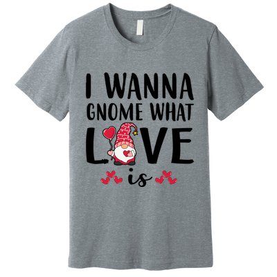 I Wanna Gnome What Love Is Valentine Day Premium T-Shirt