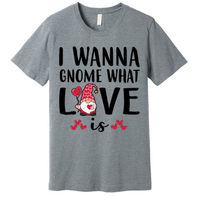 I Wanna Gnome What Love Is Valentine Day Premium T-Shirt