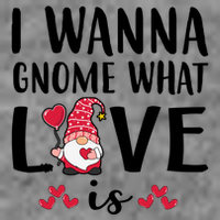 I Wanna Gnome What Love Is Valentine Day Womens Tank Top