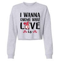 I Wanna Gnome What Love Is Valentine Day Cropped Pullover Crew