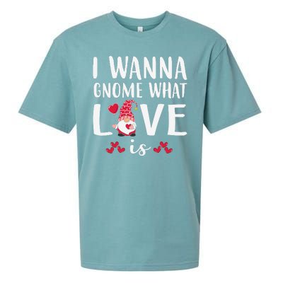 I Wanna Gnome What Love Is Valentine Day Sueded Cloud Jersey T-Shirt