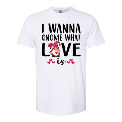 I Wanna Gnome What Love Is Valentine Day Softstyle CVC T-Shirt