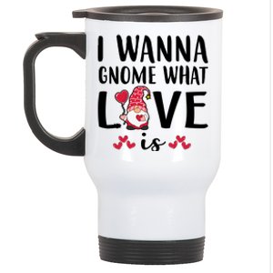 I Wanna Gnome What Love Is Valentine Day Stainless Steel Travel Mug