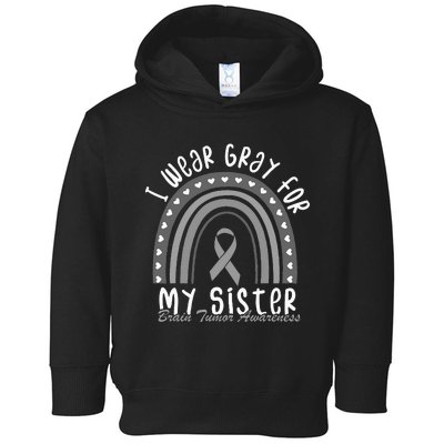 I Wear Gray For My Sister Brain Cancer Brain Tumor Awareness Toddler Hoodie