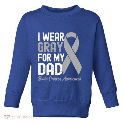 I Wear Gray For My Dad Brain Cancer Awareness Gift Toddler Sweatshirt