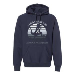 I Wear Gray For Asthma Awareness Trex Retro Sunset Premium Hoodie