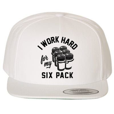 I Work Hard For My Six Pack Funny Beer Meme Wool Snapback Cap