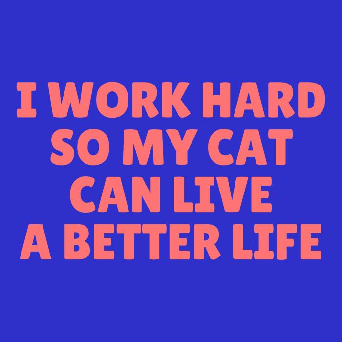 I Work Hard So My Cat Can Live A Better Life Poster