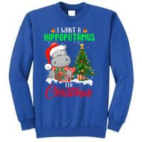 I Wants Hippopotamus For Christmas Xmas Hippos For Zoologist Meaningful Gift Tall Sweatshirt