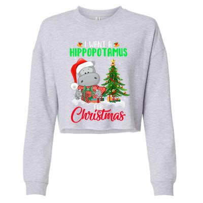 I Wants Hippopotamus For Christmas Xmas Hippos For Zoologist Meaningful Gift Cropped Pullover Crew