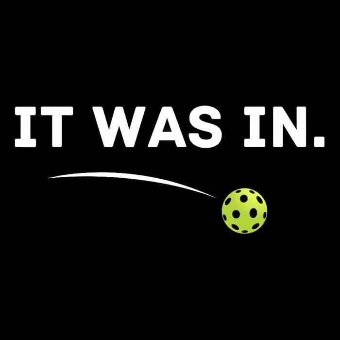 It Was In Funny Pickleball Player Paddleball Lover T-Shirt
